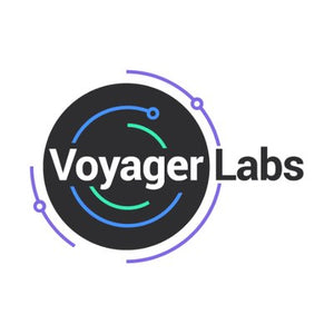 AI-based Data Intelligence & Security Solution | Voyager Labs, USA