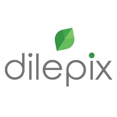 AI based Precision Agriculture Solution | Dilepix, France