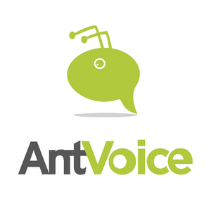 AI-Enterprise Personalized UX Solution | AntVoice, France