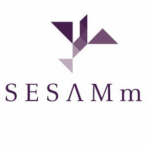 Enterprise Data Analytics Software Solution | SESAMm, France